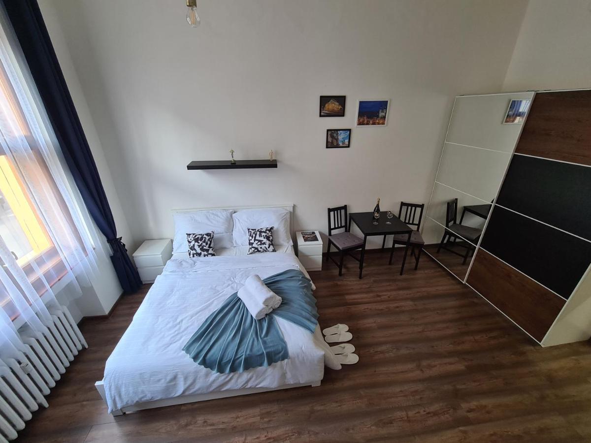 Svetly Prostorny Byt V Karline Apartment Praga Exterior foto