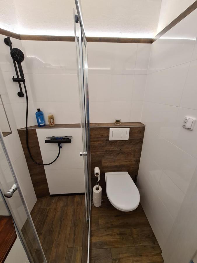 Svetly Prostorny Byt V Karline Apartment Praga Exterior foto