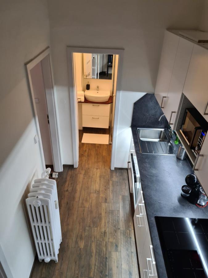 Svetly Prostorny Byt V Karline Apartment Praga Exterior foto