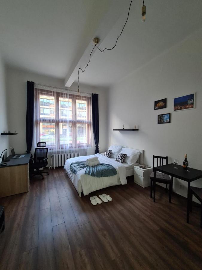 Svetly Prostorny Byt V Karline Apartment Praga Exterior foto
