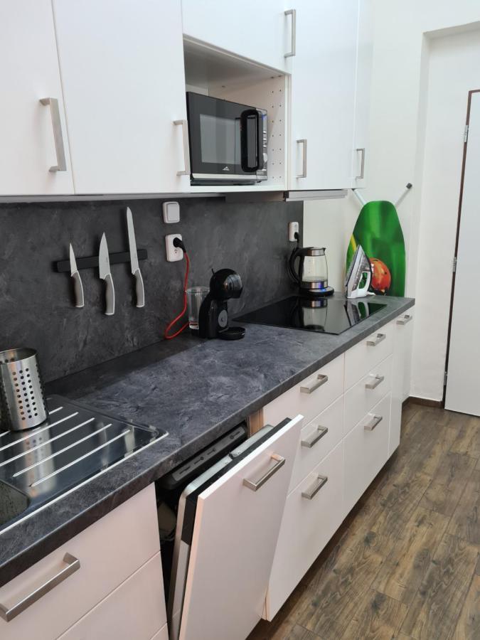 Svetly Prostorny Byt V Karline Apartment Praga Exterior foto