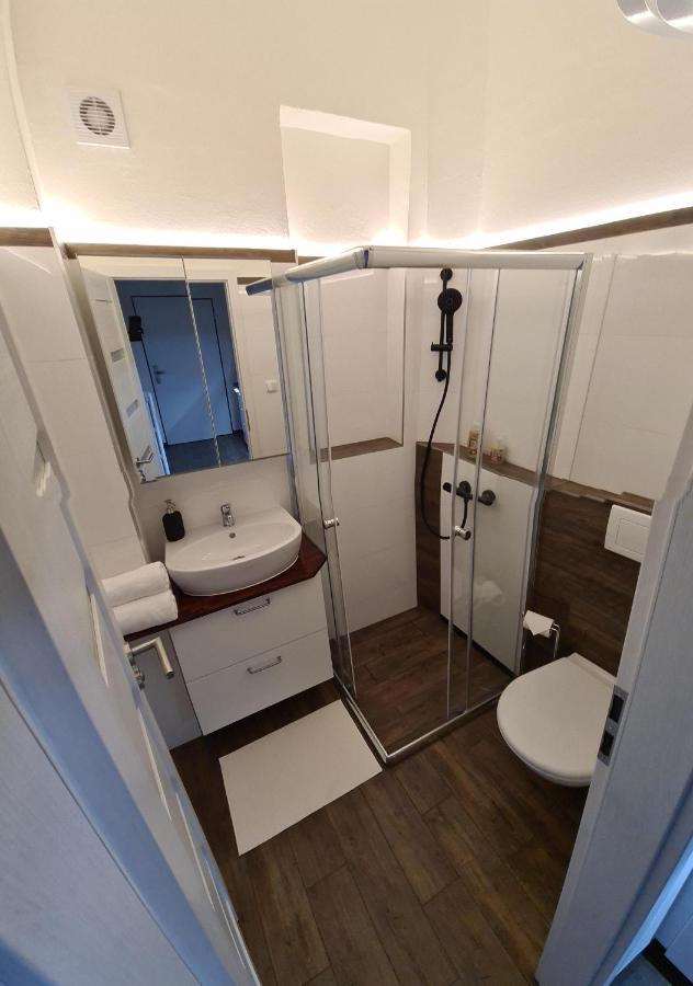 Svetly Prostorny Byt V Karline Apartment Praga Exterior foto
